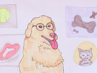 home page gallery zoom screen (2).jpeg