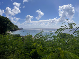 How a Trip to Dominica Obliterated My Worldview