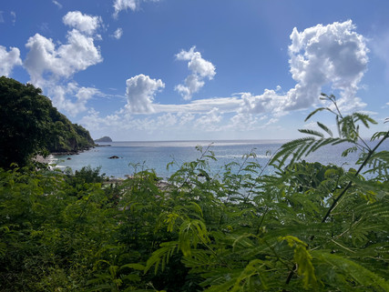 How a Trip to Dominica Obliterated My Worldview