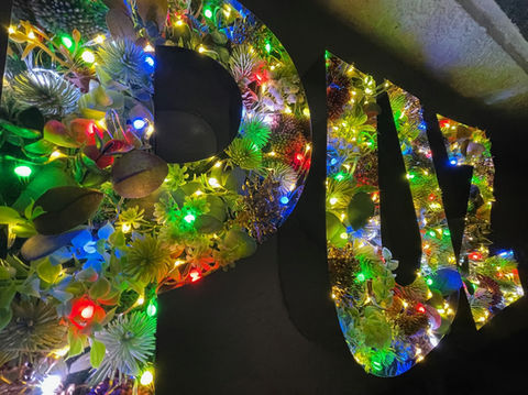 イルミネーション花箱文字