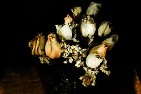 Rose portrait.jpg