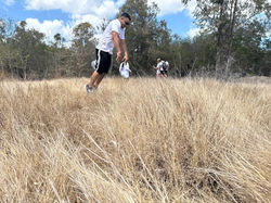 Orange fluo (qQtWOQcyL)