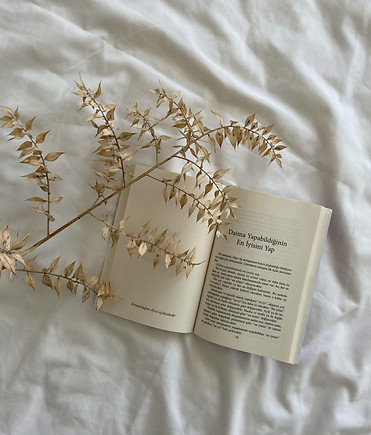 pexels-dilruba-sarıçimen-7534336.jpg