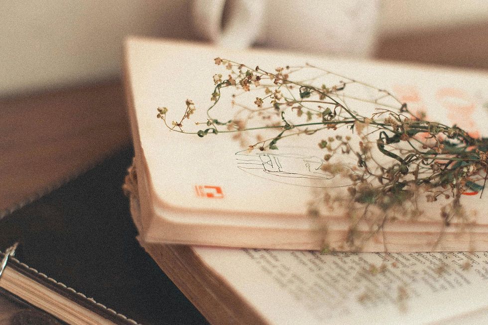 Embracing the Journey: Setting Intentions, Cultivating Mindset, and Finding SerenityEmbracing the Journey: Setting Intentions, Cultivating Mindset, and Finding Serenity