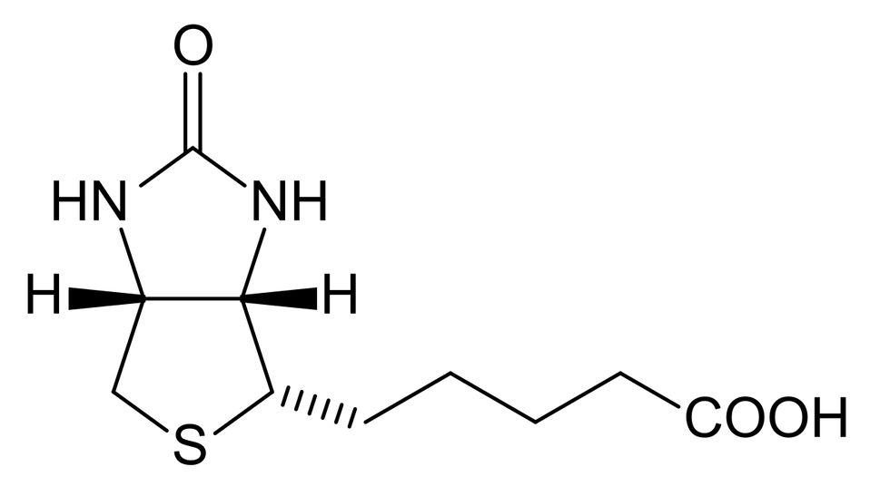 IMG_2193.PNG
