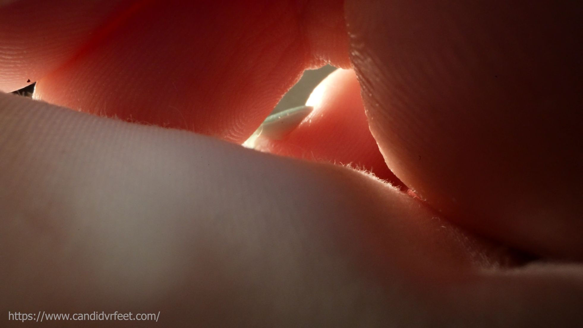 Crawling under Huhu's toes (Marco 05)