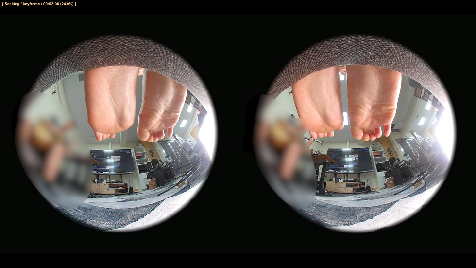 Thumbnail: Trinity 3DVR 14 (Under couch soles)