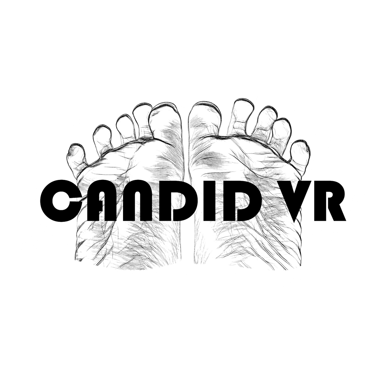 director-s-choice-candidvr