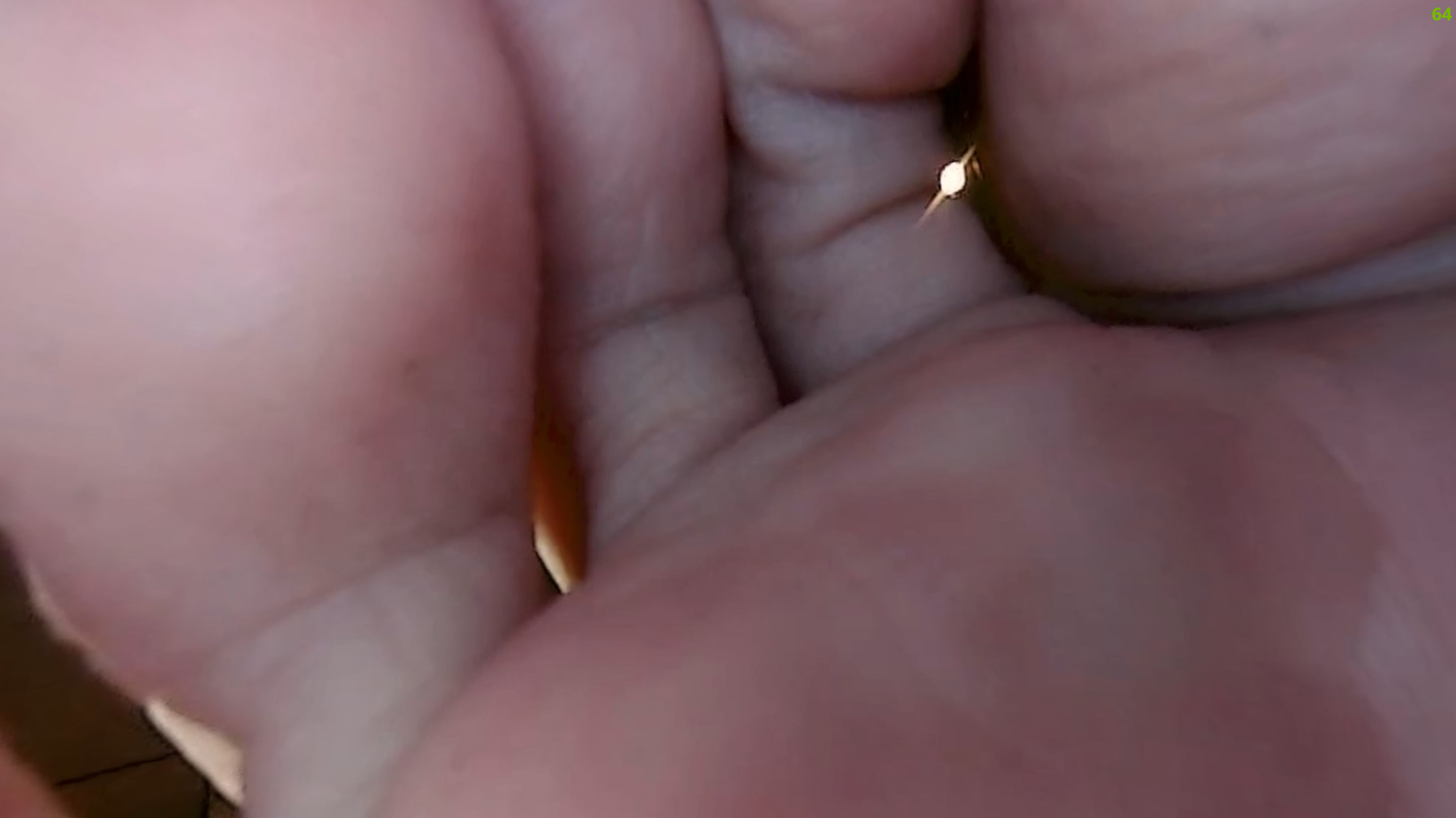 hiding in Jo's slipper (Tiny3D 12)