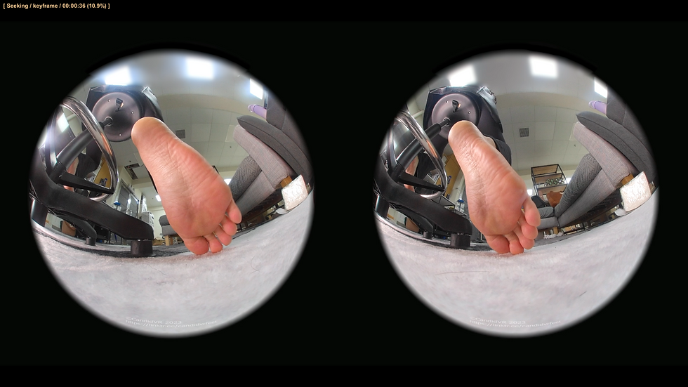 サムネイル： Trinity 3DVR 16 (Sole appreciation)