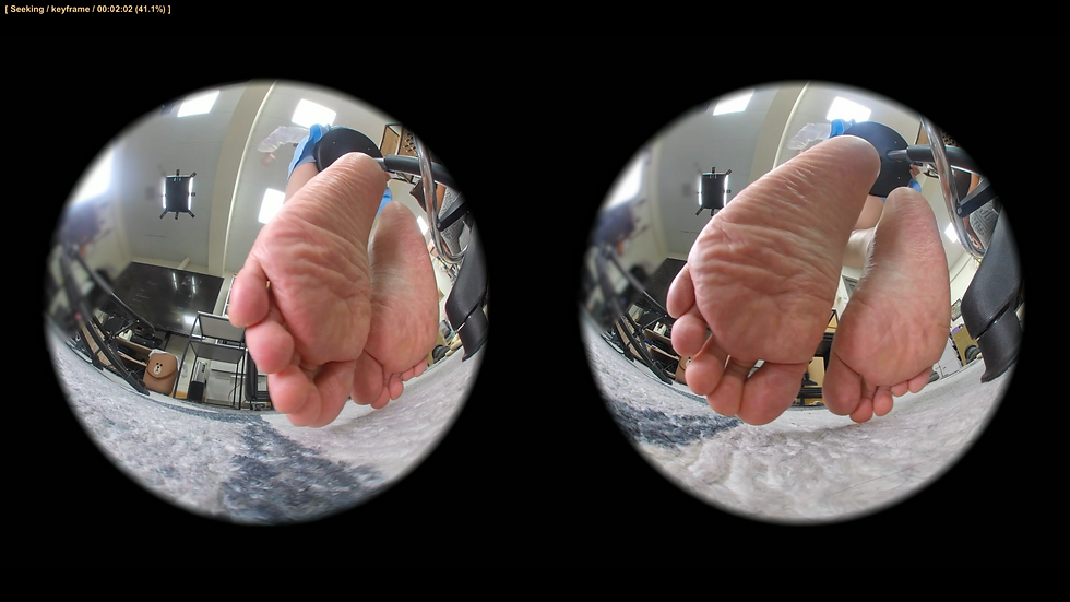 サムネイル： Ciri 3DVR 14 (Barstoll soles)