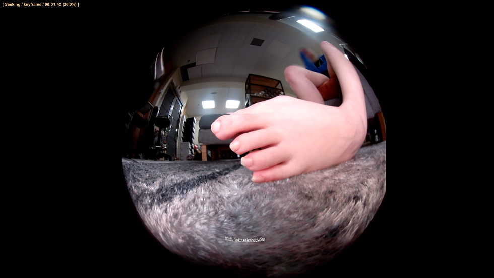 Thumbnail: Amy 180VR 04 (Ant view instep inspection 2)