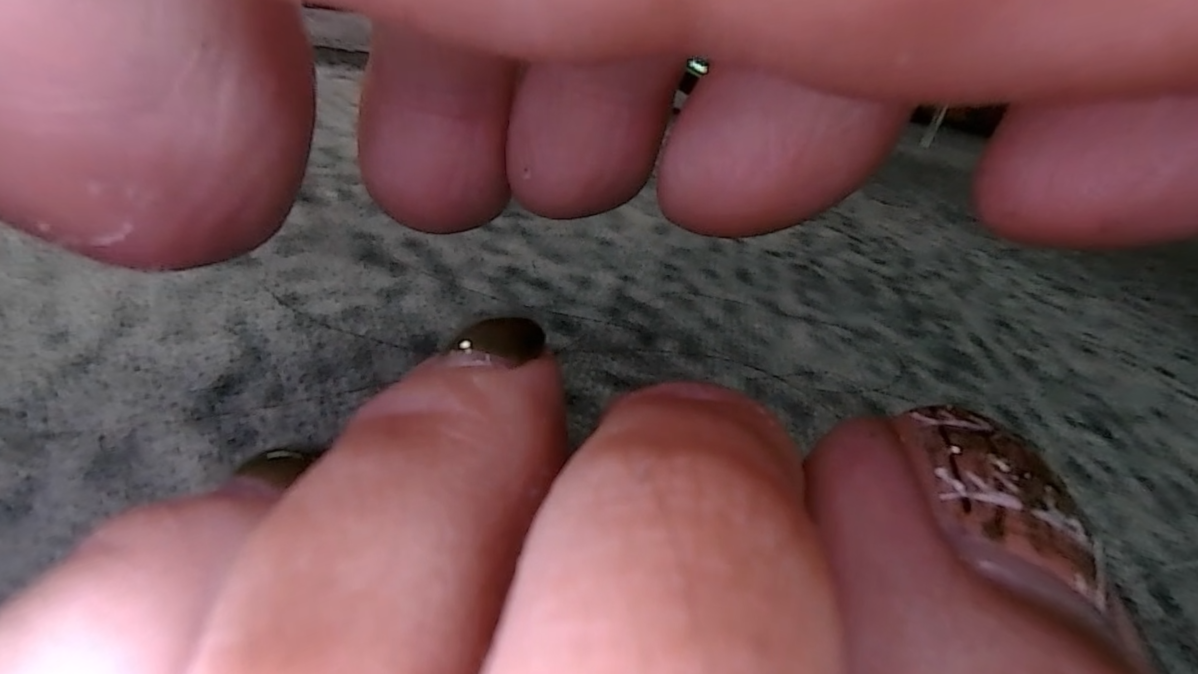 caught between Pixie's feet (Tiny3D 09)