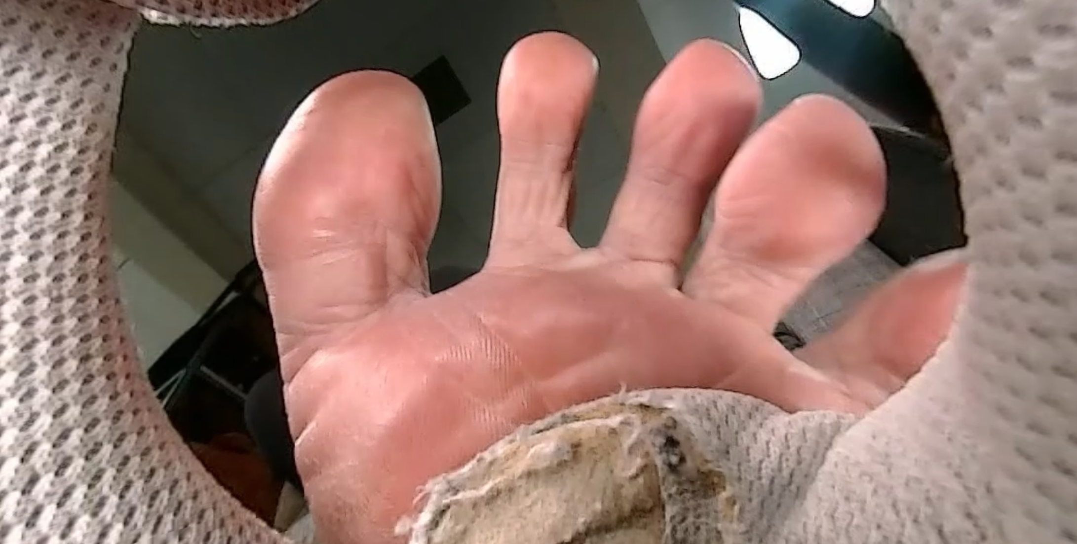 Trapped by Miumiu's sneaker