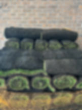 ree