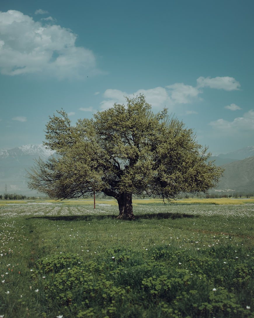 pexels-imad-clicks-11647813.jpeg