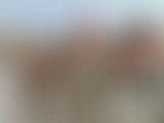 Звернення першого командира Бригади Богуна.