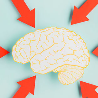 Müüdid aju, tähelepanu ja mälu kohta: mida teadus tegelikult ütleb?