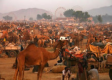 rural-village-tour-luxury-rajasthan-tour-packages-vedic-walks-travel-tour-agency-operator-best