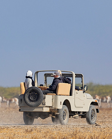 Women only group in Little Rann of Kutch safari