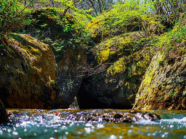 S__37314583.jpg