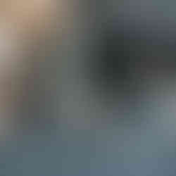 Male black tri-color Australian Shepherd puppy