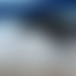 Introducing Baloo: A Male, Black, Tri-color Australian Shepherd Puppy!