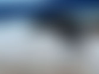 Introducing Baloo: A Male, Black, Tri-color Australian Shepherd Puppy!