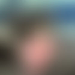 Meet Minnie: Female, Black, Tri-color Australian Shepherd Puppy Available for Adoption!