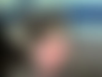 Meet Minnie: Female, Black, Tri-color Australian Shepherd Puppy Available for Adoption!