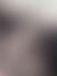 Liloo, female, black and white , bi-color Australian Shepherd available for adoption