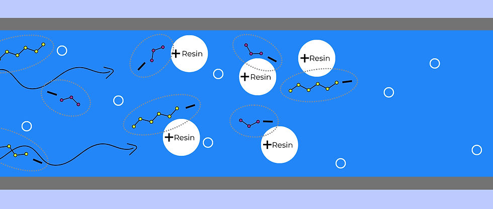 Ion Exchange demonstration for PFAS