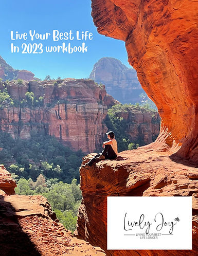 Best life workbook 2023 cover (2).jpg