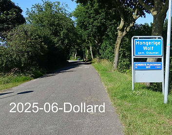 2025-06-Dollard.jpg