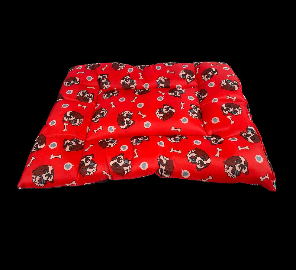 Miniatura: COLCHONETE PET