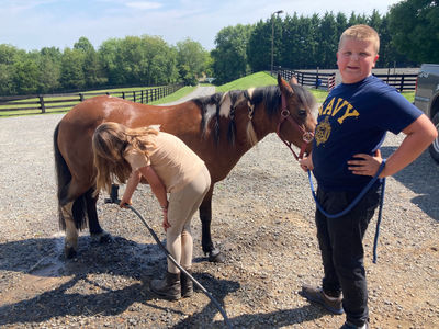 Young girl washing a horse's legs while a boy holds the lead.