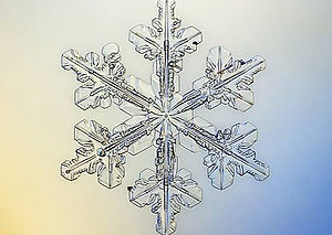 Snowflake.jpg
