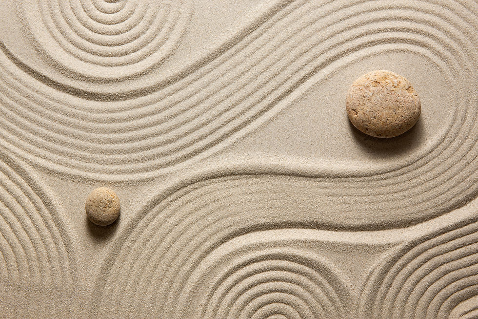 Zen Garden_edited.jpg