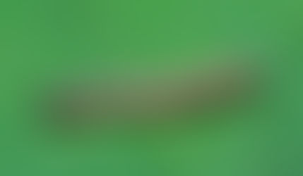 Evolução da resistência de Spodoptera frugiperda em áreas de refúgio contaminadas por sementes Bt