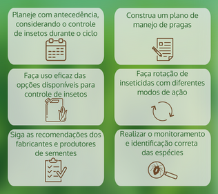 Manejo integrado: Base para uma estratégia eficiente