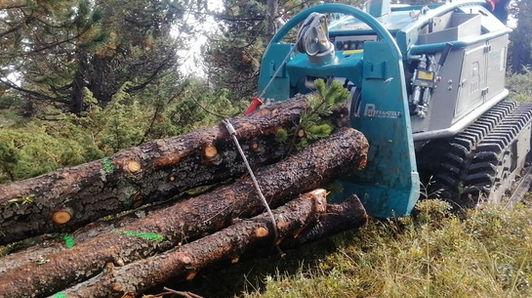 débroussaillage, débardage, transport de troncs et de grumes, grue, broyage forestier, travaux forestiers, élagage, rognage de souches, dessouchage, paysagisme, paysagiste, Abracada'branches 66, robot chenillard de pente radiocommandé, accès difficiles, obligation légale de débroussaillage OLD, ouvertures de milieux, coupes feux, aménagement de site, entretien de jardin, nettoyage forestier, arbre, taille, abattage, murs en pierres sèches, cabanes dans les arbres, cabanes sur pilotis, abri de jardin, logement insolite, taille de haies, taille d'arbres fruitier, bancs en bois massif, InterServices, crédit d'impôt, service à la personne, Abracada'Branches 66, terrasse suspendue, passerelle, pont suspendu, mur en pierres sèches à l'ancienne, traditionnel, catalan, bancs en bois massif, terrassement, préparation des sols, broyage de pierre, qualité, montagne, Pyrénées-Orientales, Canaveilles, Prades, Conflent, Olette, Mont-Louis, Font-Romeu, Villefranche-de-Conflent, Perpignan, Ille-sur-Têt, Millas, Caixas, Vinça, Marquixanes, Jujols, Nyer, Serdinya, Joncet, Vernet-les-Bains, Ayguatébia, Sansa, Evol, Marians, Thuès-les-Bains, Fontpédrouse, Feuilla, Sahorre, Fillols, Taurinya, Ria-Sirach, Espira, Estoher, Arboussols, Joch, Rigarda, Rodes, Tarerach, Conat, Urbanya, Nohèdes, Casteil, Oreilla, Railleu, Talau, Latour-de-France, Caudiès-de-Fenouillèdes, Estagel, Montner, vigne, Le Soler, Toulouges, Néfiach, Millas, Pézilla-la-Rivière, Banyuls-sur-Mer, Argelès-sur-Mer, Elne, Céret, Le Boulou, St-Cyprien, Rivesaltes, Canet-en-Roussillon, Baixas, Caramany, Sournia, Mosset, Molitg-le-Bains, Cattlar, Eus, Los Masos, Les Angles, Matemale, La Llagonne, Formiguères, Saillagouse, Bolquère, égat, Odeillo, Saint-Pierre-dels-Forçats, Targasonne, Estavar, Llivia, Osséja, Saint-Léocadie, Err, Llo, Bourg-Madame, Ur, Latour-de-Carol, Enveitg, Cerdagne