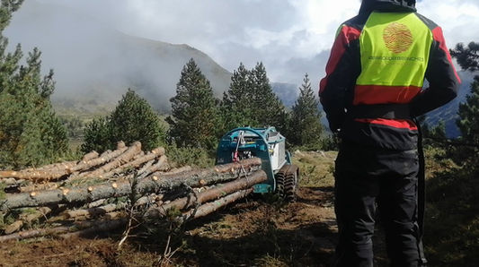 débroussaillage, débardage, transport de troncs et de grumes, grue, broyage forestier, travaux forestiers, élagage, rognage de souches, dessouchage, paysagisme, paysagiste, Abracada'branches 66, robot chenillard de pente radiocommandé, accès difficiles, obligation légale de débroussaillage OLD, ouvertures de milieux, coupes feux, aménagement de site, entretien de jardin, nettoyage forestier, arbre, taille, abattage, murs en pierres sèches, cabanes dans les arbres, cabanes sur pilotis, abri de jardin, logement insolite, taille de haies, taille d'arbres fruitier, bancs en bois massif, InterServices, crédit d'impôt, service à la personne, Abracada'Branches 66, terrasse suspendue, passerelle, pont suspendu, mur en pierres sèches à l'ancienne, traditionnel, catalan, bancs en bois massif, terrassement, préparation des sols, broyage de pierre, qualité, montagne, Pyrénées-Orientales, Canaveilles, Prades, Conflent, Olette, Mont-Louis, Font-Romeu, Villefranche-de-Conflent, Perpignan, Ille-sur-Têt, Millas, Caixas, Vinça, Marquixanes, Jujols, Nyer, Serdinya, Joncet, Vernet-les-Bains, Ayguatébia, Sansa, Evol, Marians, Thuès-les-Bains, Fontpédrouse, Feuilla, Sahorre, Fillols, Taurinya, Ria-Sirach, Espira, Estoher, Arboussols, Joch, Rigarda, Rodes, Tarerach, Conat, Urbanya, Nohèdes, Casteil, Oreilla, Railleu, Talau, Latour-de-France, Caudiès-de-Fenouillèdes, Estagel, Montner, vigne, Le Soler, Toulouges, Néfiach, Millas, Pézilla-la-Rivière, Banyuls-sur-Mer, Argelès-sur-Mer, Elne, Céret, Le Boulou, St-Cyprien, Rivesaltes, Canet-en-Roussillon, Baixas, Caramany, Sournia, Mosset, Molitg-le-Bains, Cattlar, Eus, Los Masos, Les Angles, Matemale, La Llagonne, Formiguères, Saillagouse, Bolquère, égat, Odeillo, Saint-Pierre-dels-Forçats, Targasonne, Estavar, Llivia, Osséja, Saint-Léocadie, Err, Llo, Bourg-Madame, Ur, Latour-de-Carol, Enveitg, Cerdagne