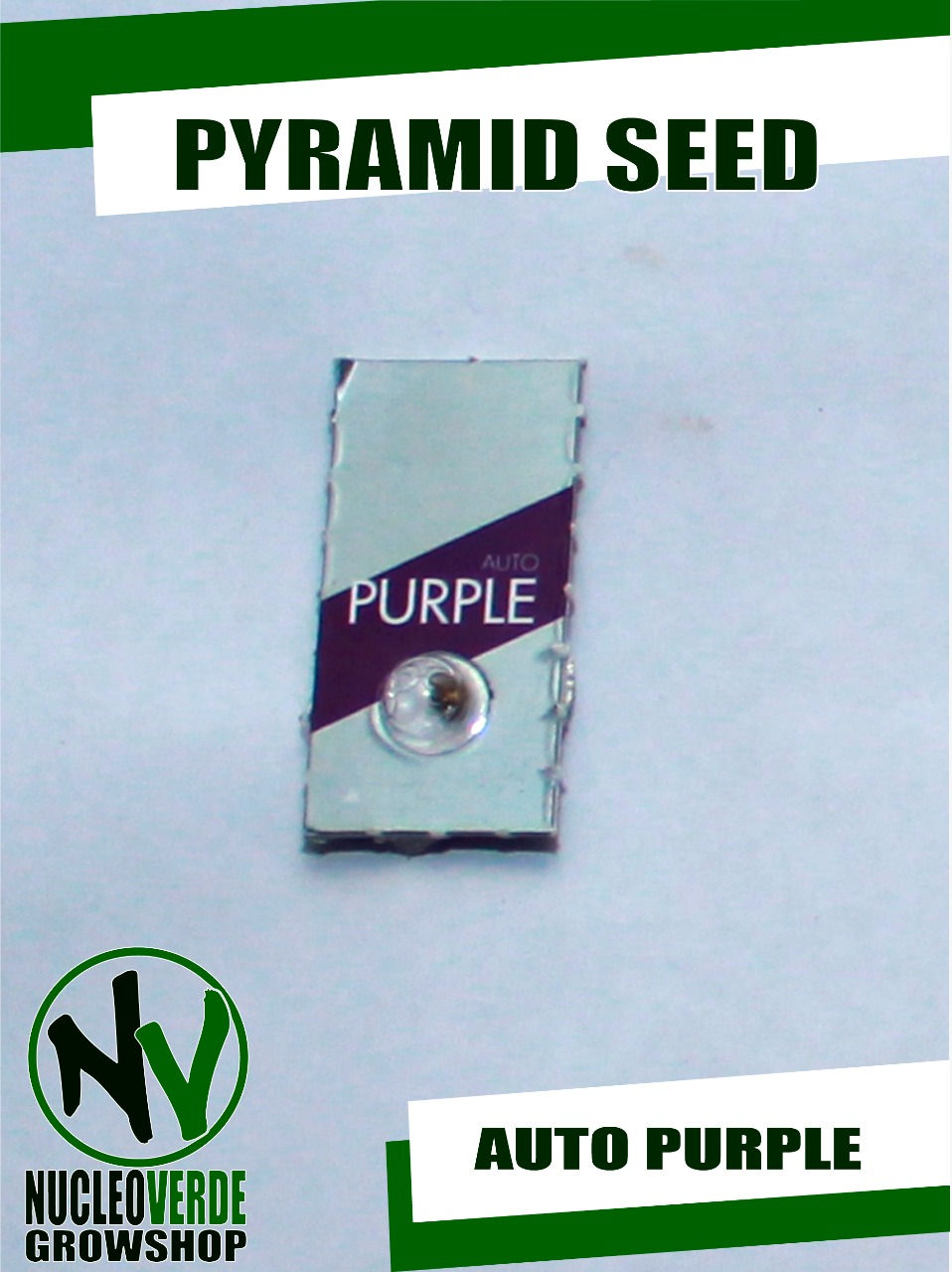 Miniatura: Pyramid seeds