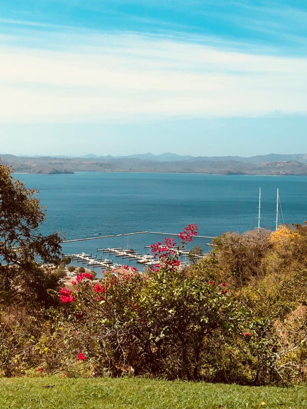 Papagayo Marina