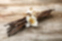 Dried vanilla pods and flower on wooden