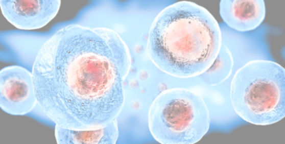 Stem cells background 2_edited.jpg