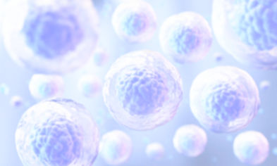 Stem Cells_edited.jpg