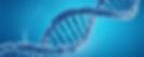DNA.jpg