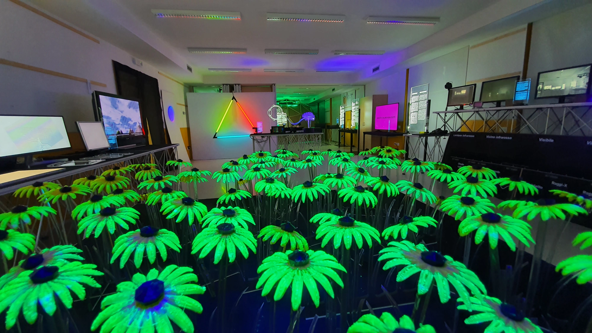 allestimento fiori.webp