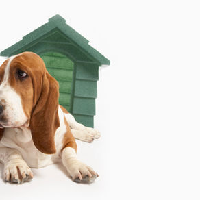 2022 Report: What the Watchdogs Say - Where Grant Monitoring Programs Fall Short